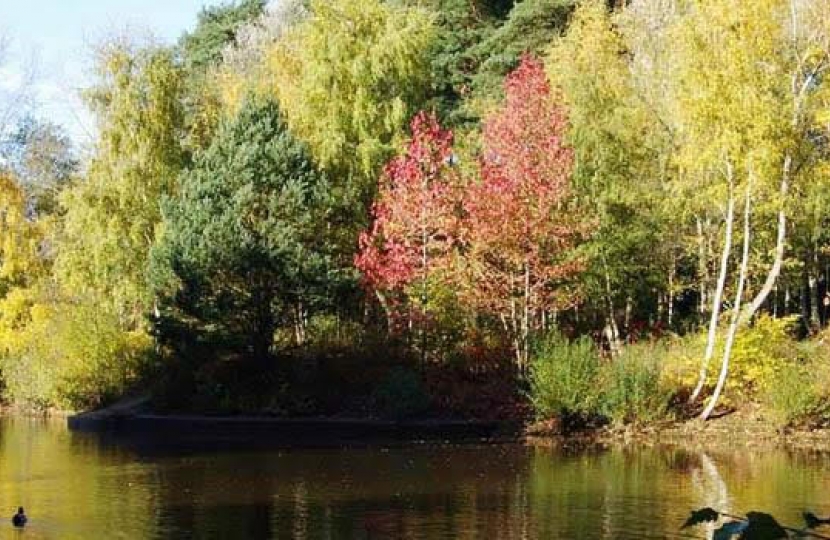 Crown Wood litter pick