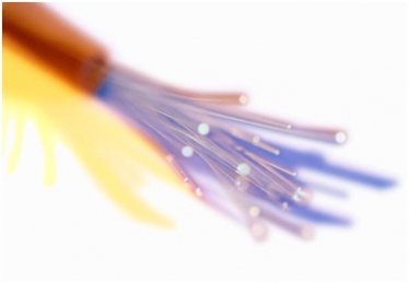 Fiber Optic